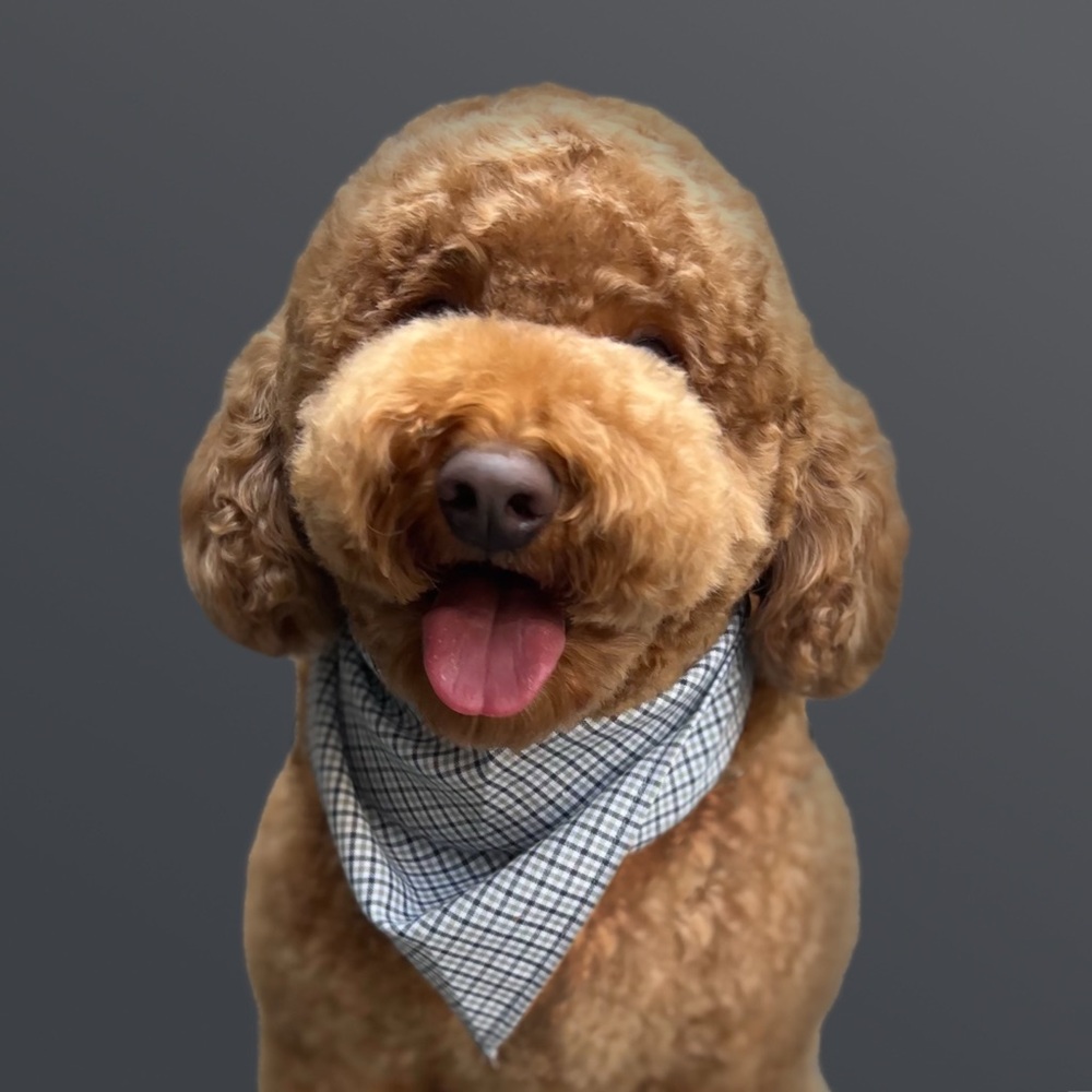 Meet your Posher, TTW